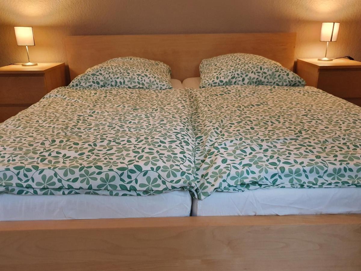 Grosse Ferienwohnung An Der Rheinpromenade Three Duisburg Luaran gambar